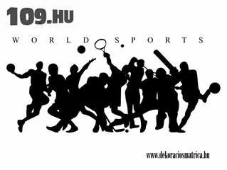 Falmatrica - World sports 35 cm x 78 cm